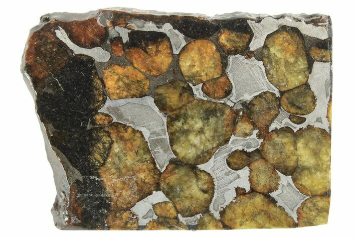 Polished Sericho Pallasite Meteorite ( g) Slice - Kenya #249903